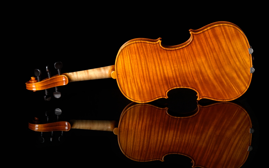 Daniel Ross 5 string violin 3